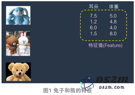 深入特征分析，开启人工智能学习的新征程